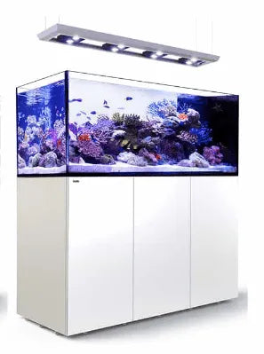Red Sea Reefer Peninsula P650 Deluxe 650 Litre Aquarium White - Amazing Amazon